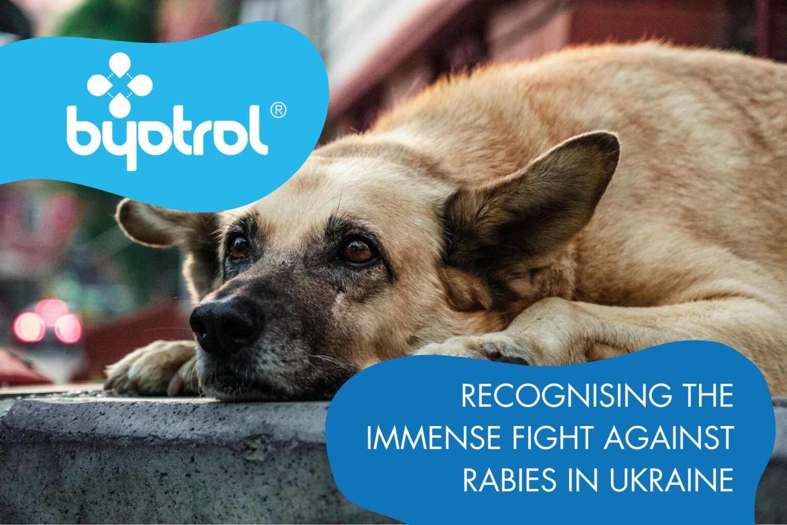 Recognising the Immense Fight Against Rabies in Ukraine – Byotrol